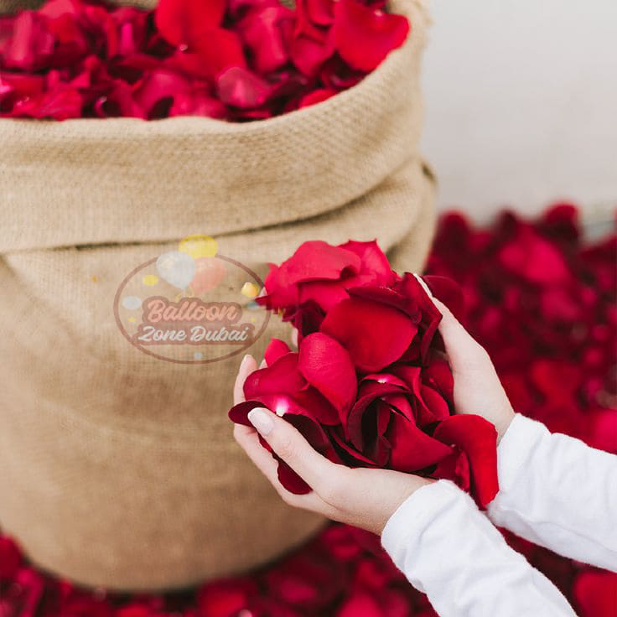 Petals of Love 